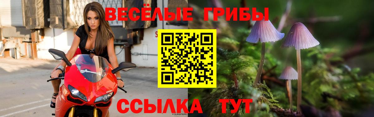Кыштым  Галлюциногенные грибы Magic Shrooms  Вход с VPN 
